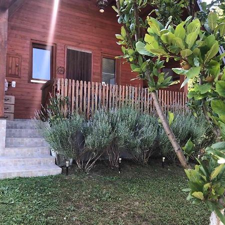 Holiday Home Nemo Bihać Exterior foto